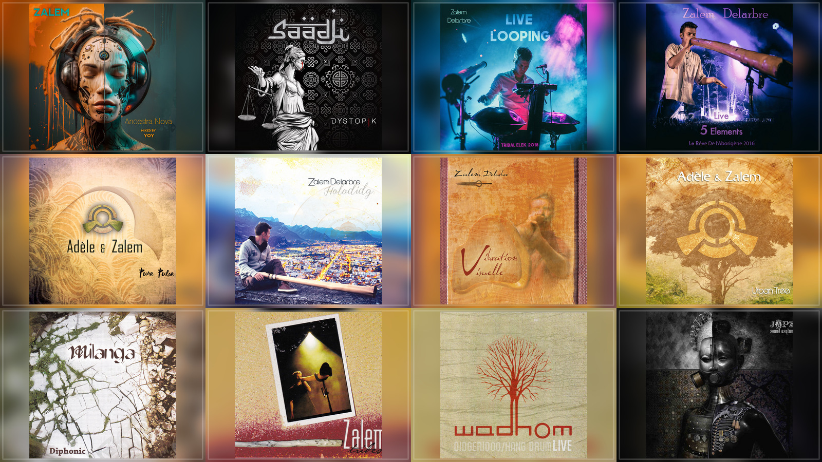 Mosaïque des pochettes de la discographie de Zalem